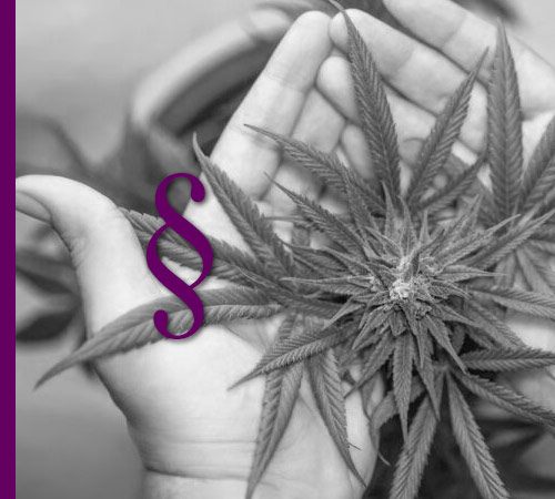 BTMG – BETÄUBUNGSMITTEL – STRAFRECHT